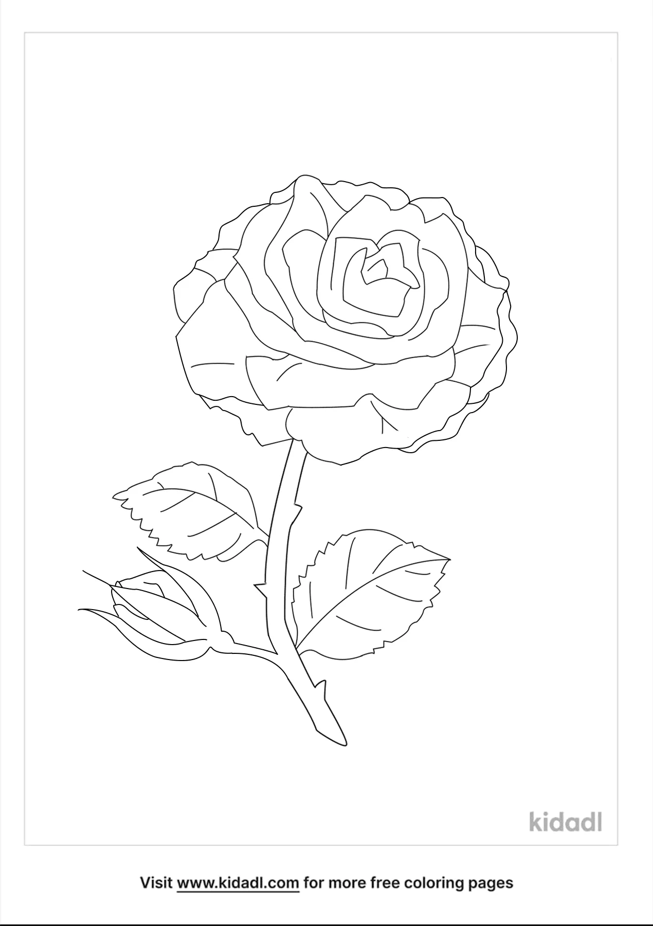 Free great maidens blush rose coloring page coloring page printables
