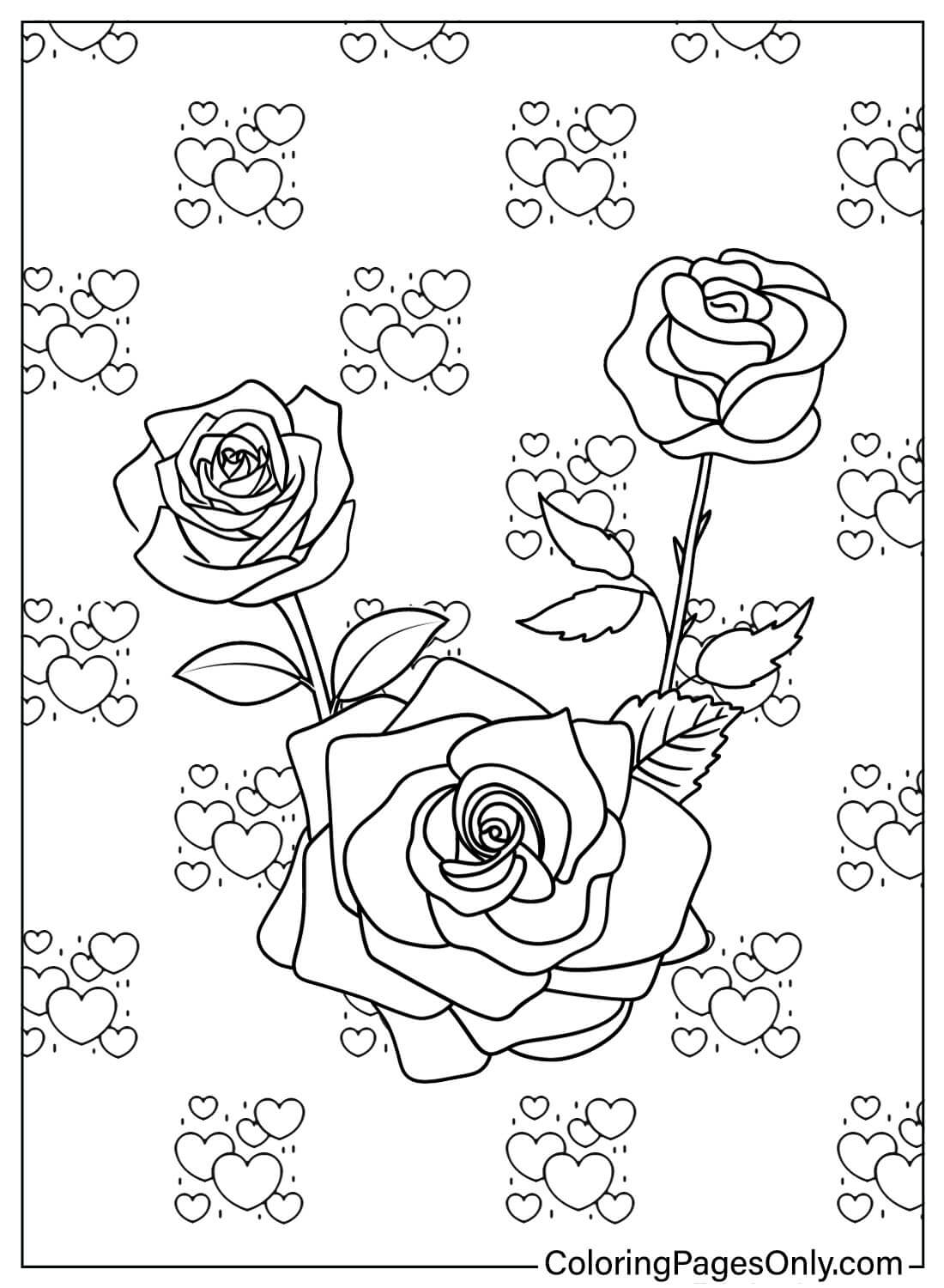 Beautiful roses in a garden coloring page