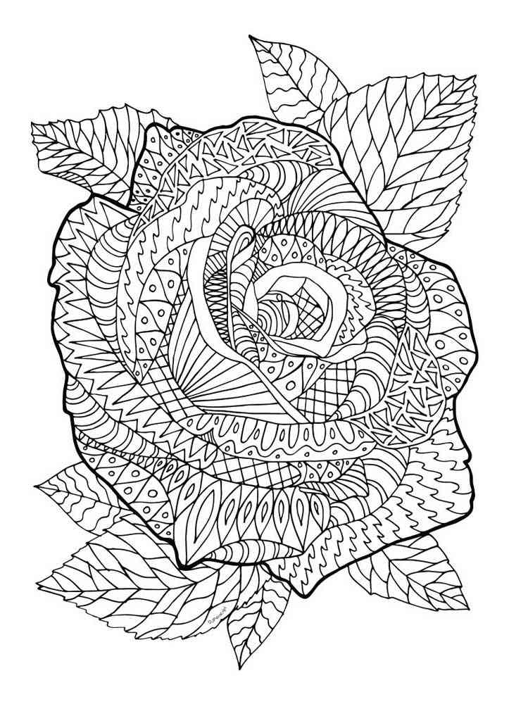 Rose coloring pages for adults