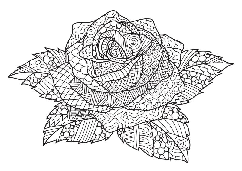 Zendoodle design of rose for design element and adult coloring book page vector illustration stock vector