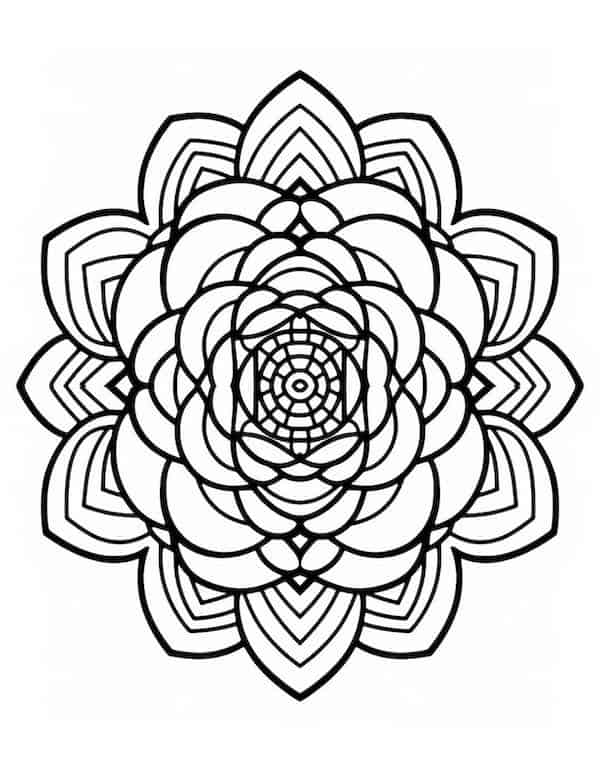 Beautiful rose coloring pages for kids and adults