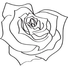 Top free printable beautiful rose coloring pages for kids