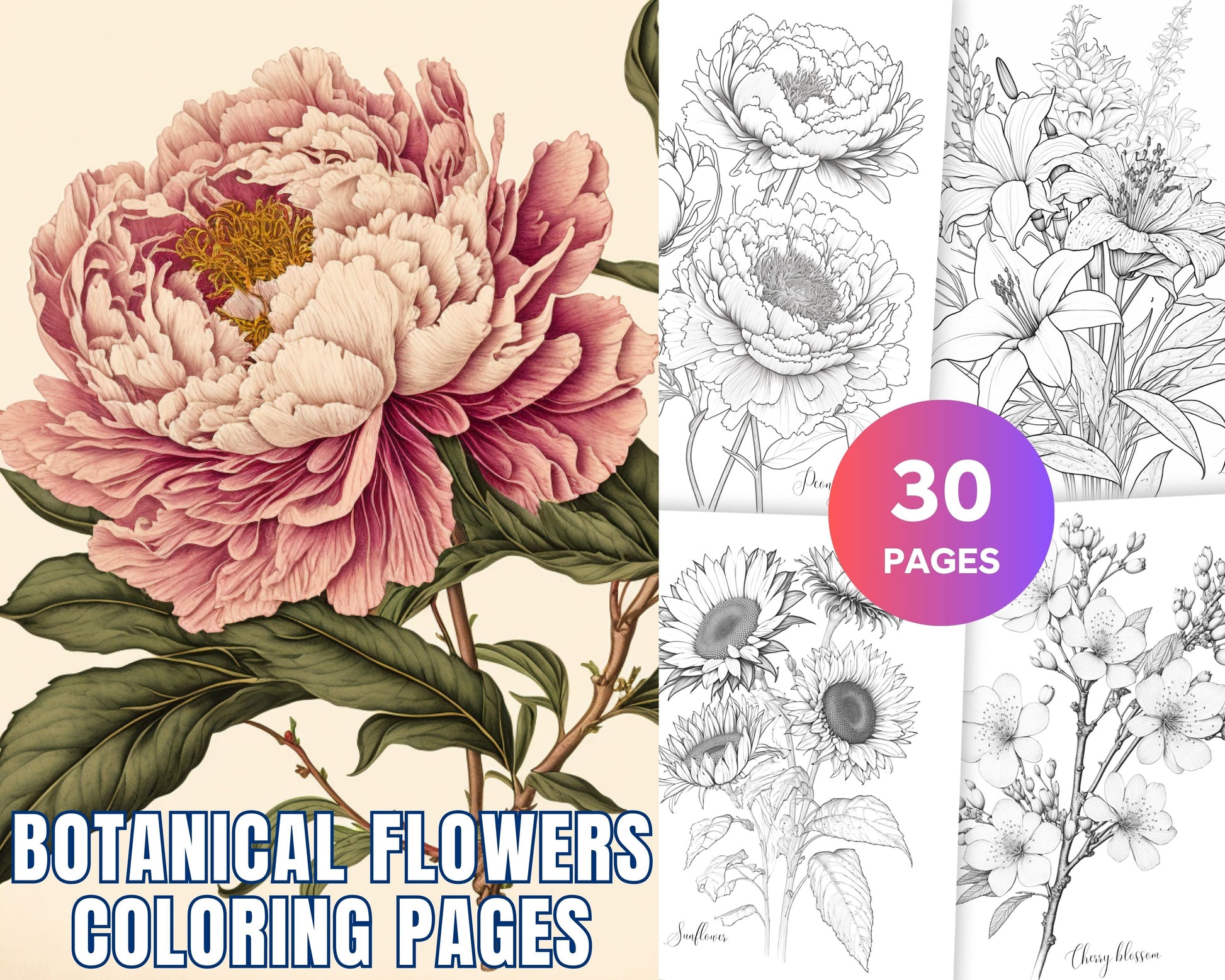 Botanical flowers printable coloring pages for adults floral grays â coloring