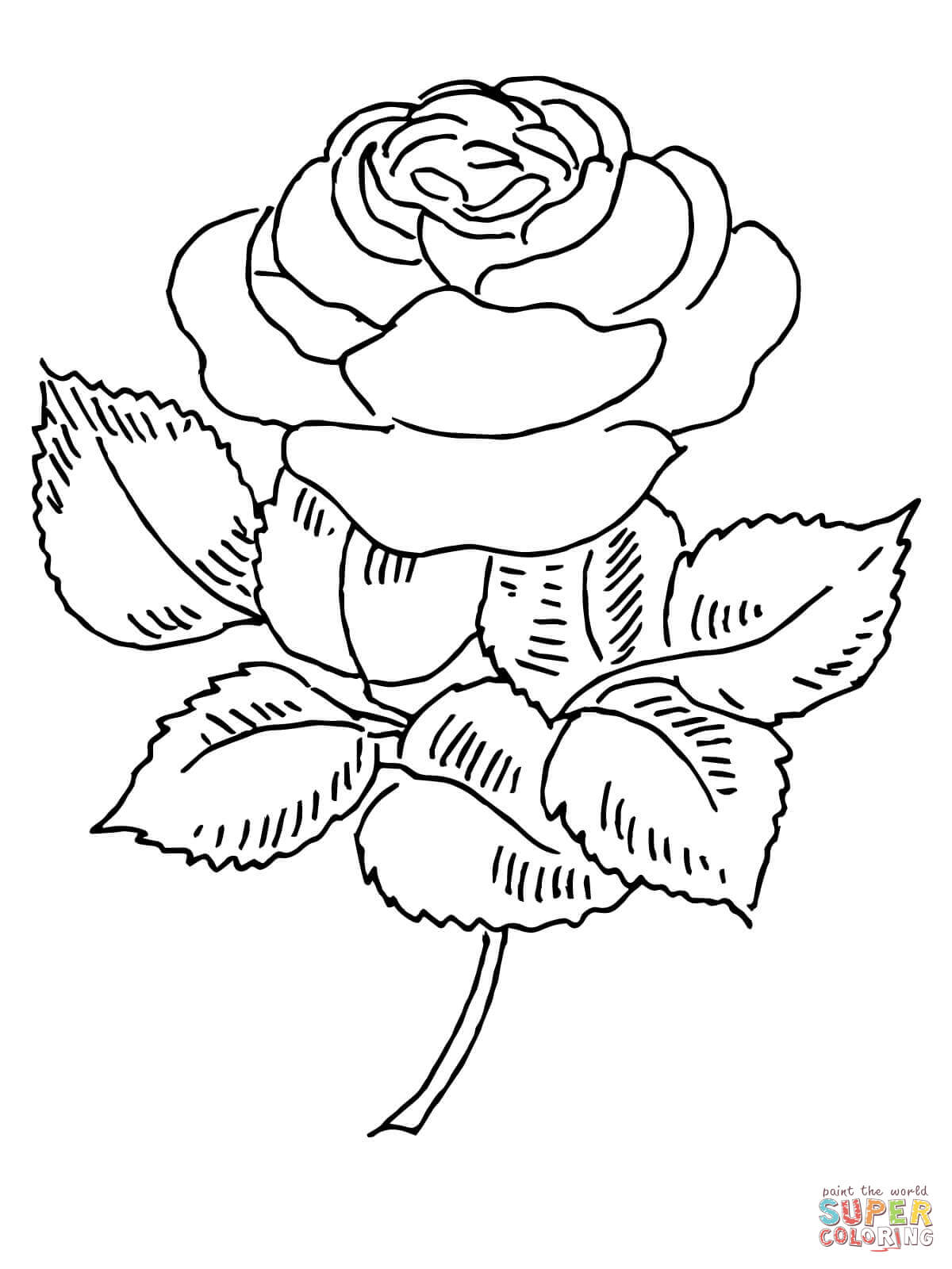 Blooming rose coloring page free printable coloring pages