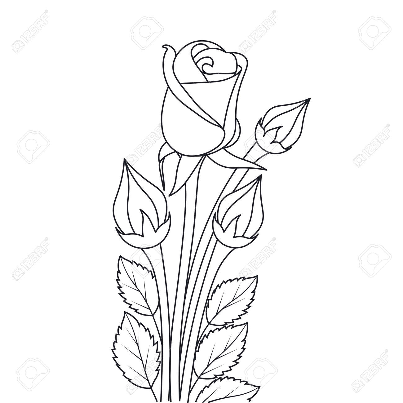 Rose flower easy coloring page for coloring book illustration sketchbook scrapbooking royalty free svg cliparts vectors and stock illustration image