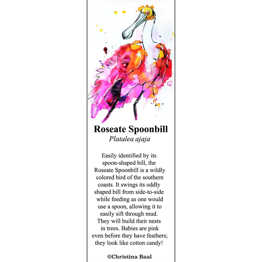 Roseate spoonbill bookmark â home