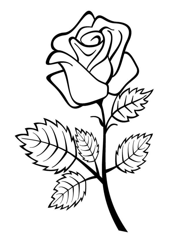 Coloring pages rose flower coloring pages