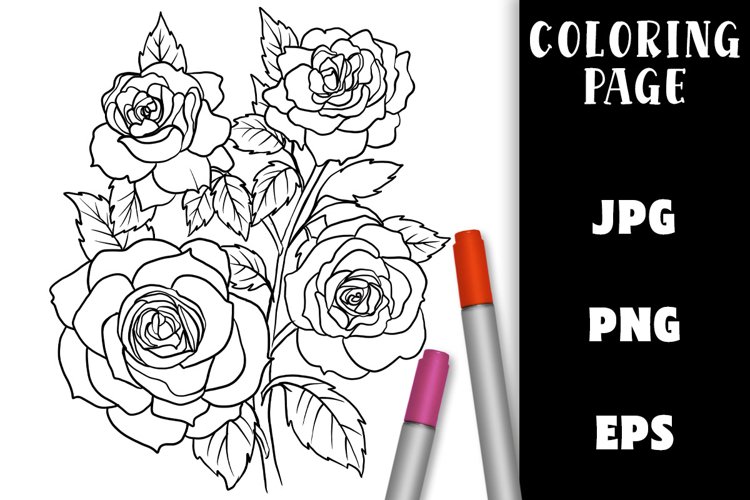 Pretty rose flowers coloring page