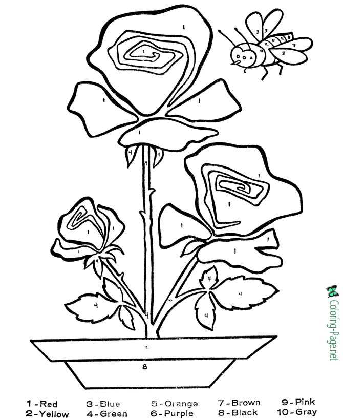 Flower coloring pages