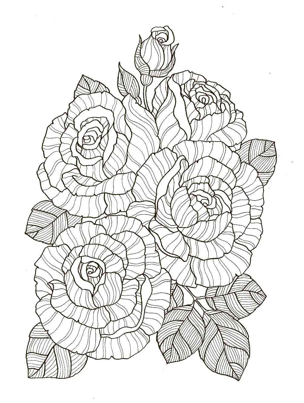 Rose coloring pages for adults
