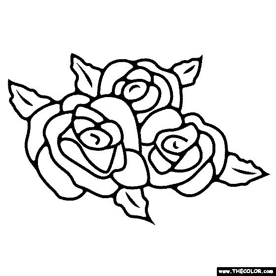 Roses coloring page