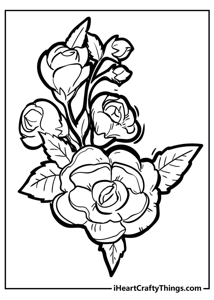 Rose coloring pages free printables