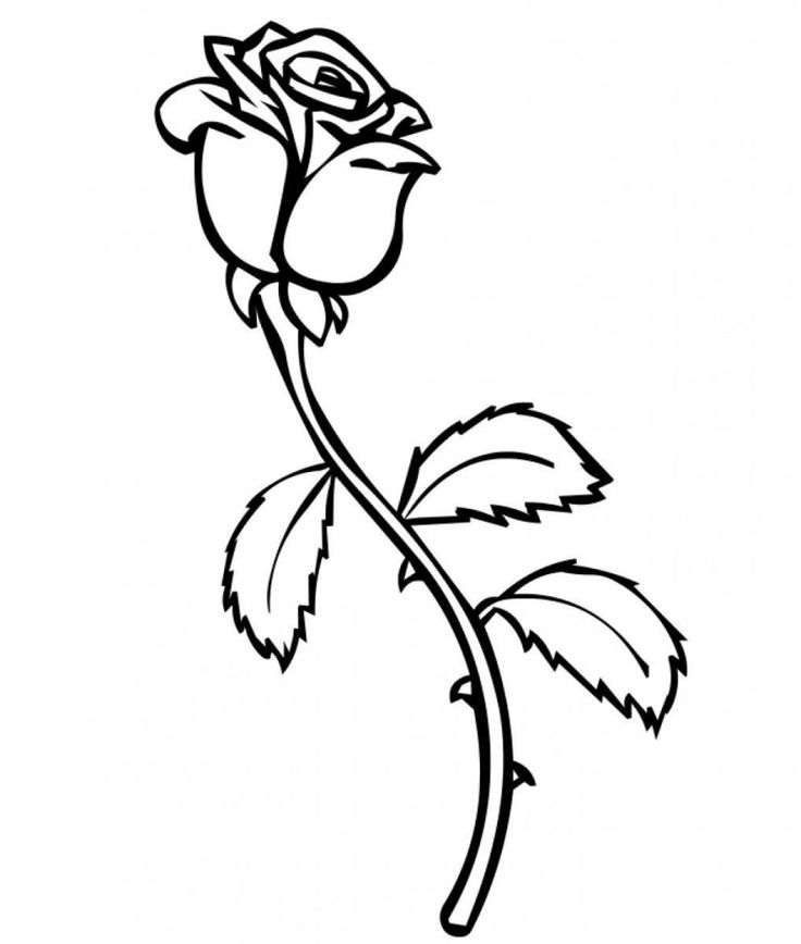 Free printable roses coloring pages for kids rose coloring pages flower coloring pages heart coloring pages