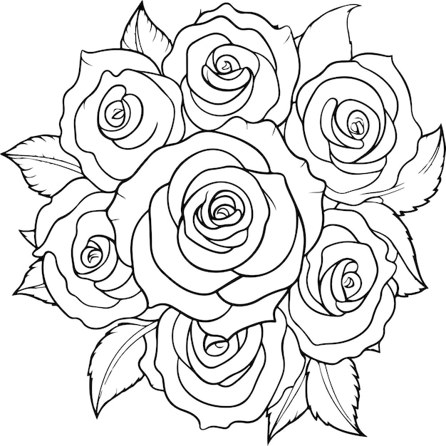 Premium vector coloring page depicting rose flowers
