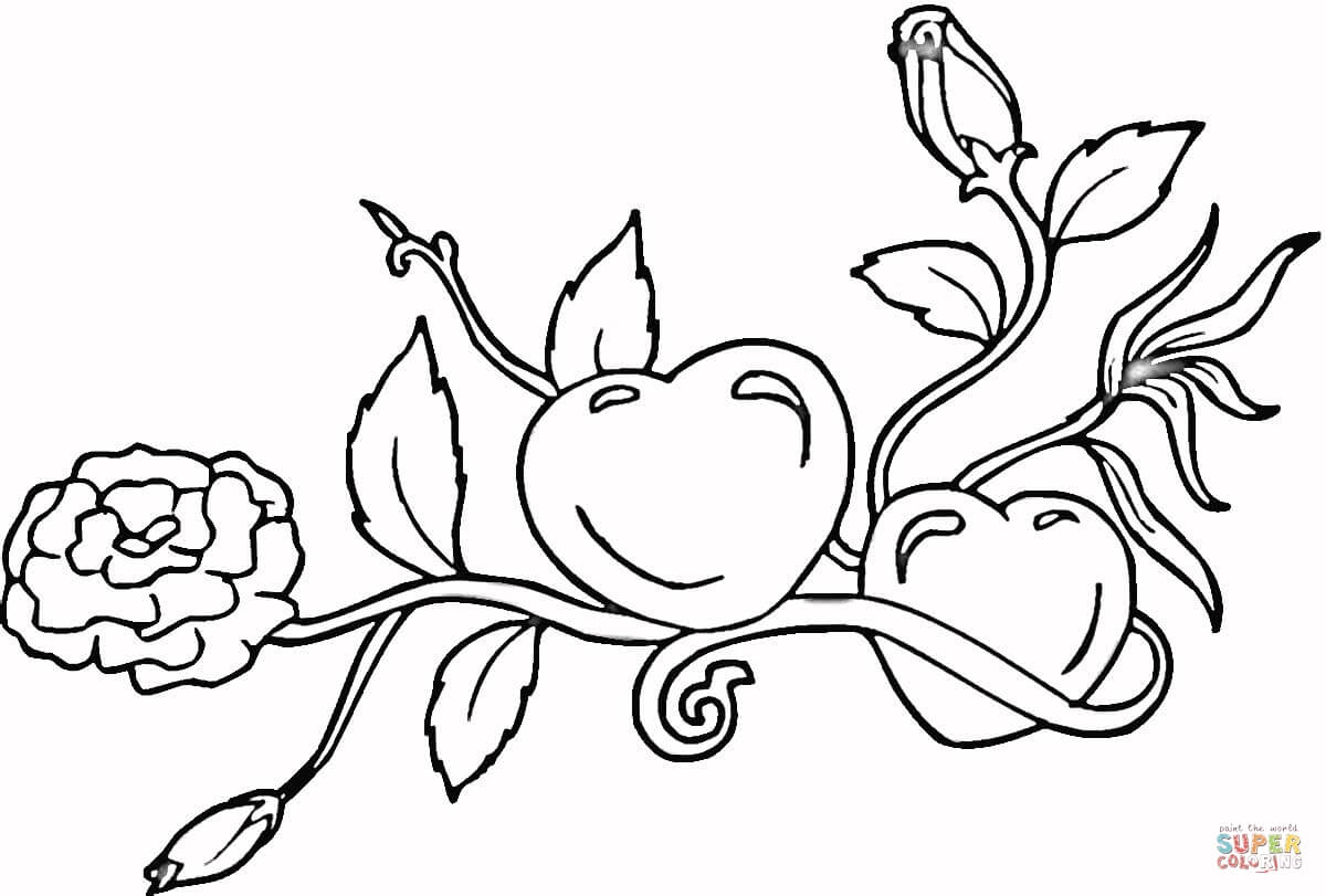 Hearts and roses coloring page free printable coloring pages