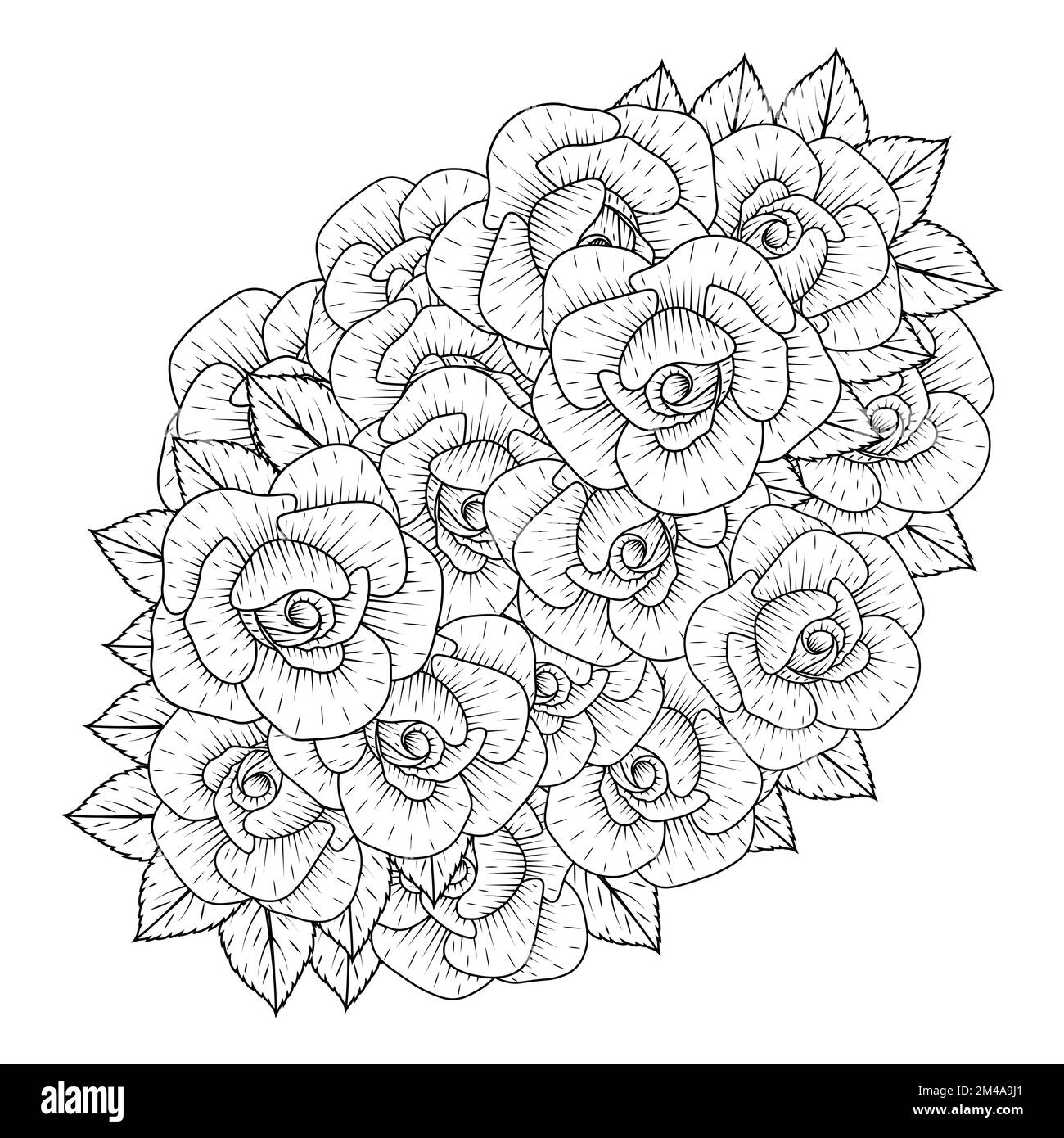 Black rose flower adult coloring page with wild rose decorative bouquet pencil sketch drawing stock vector image art