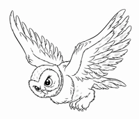 Ðï printable harry potter coloring pages for free