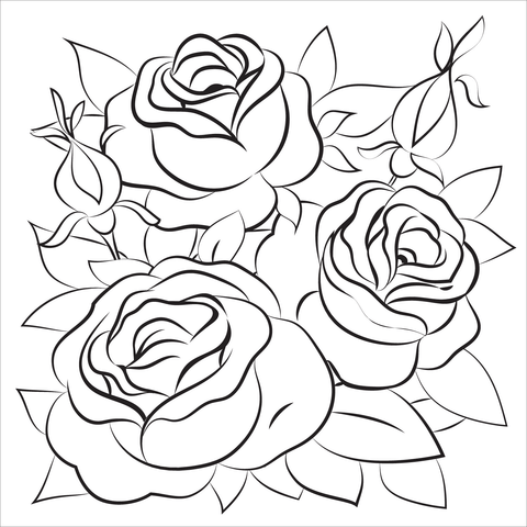 Roses coloring pages printable for free download