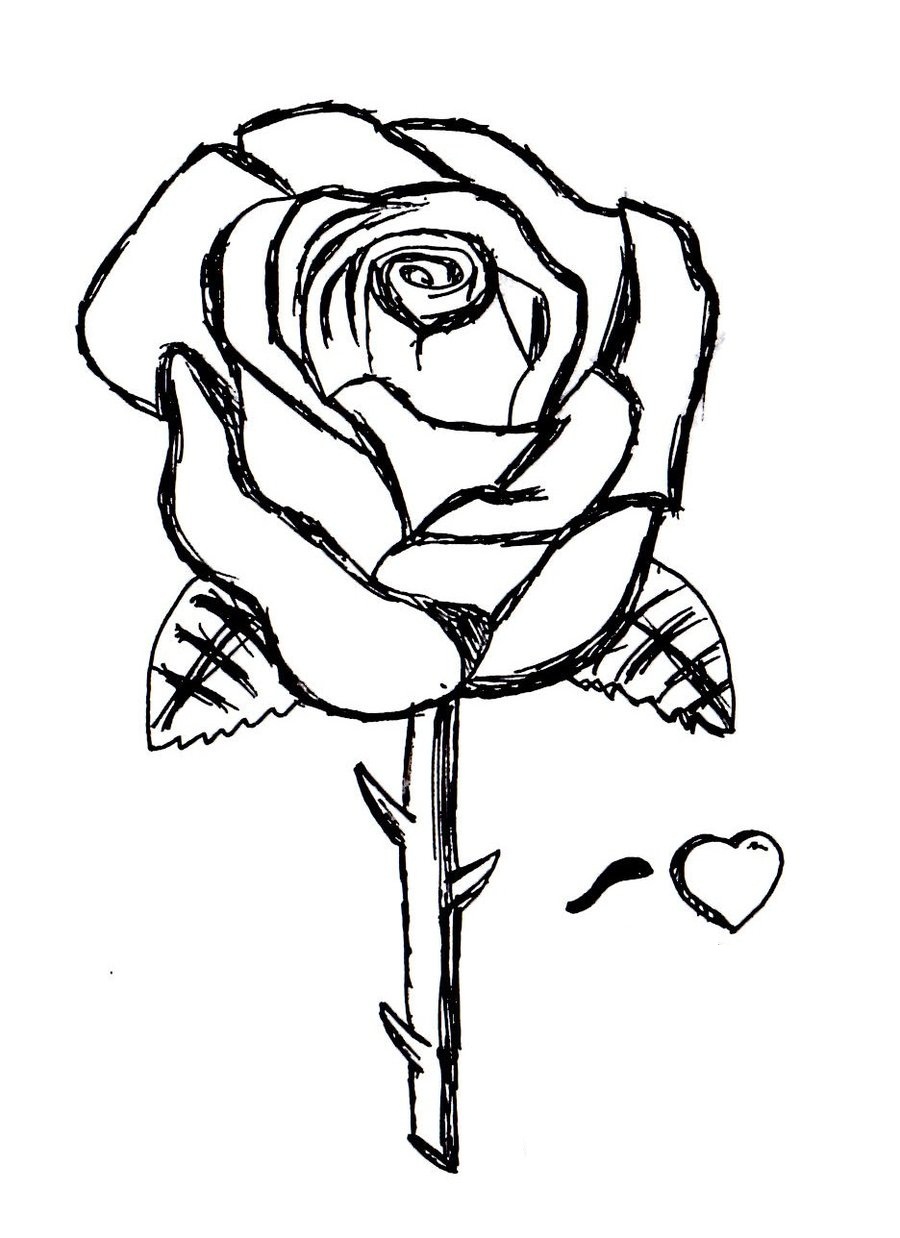 Free printable roses coloring pages for kids