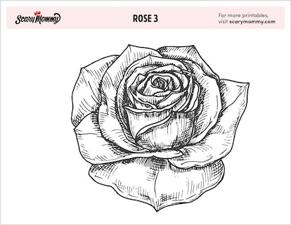 In full bloom free rose coloring page printables for kids