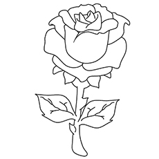 Top free printable beautiful rose coloring pages for kids