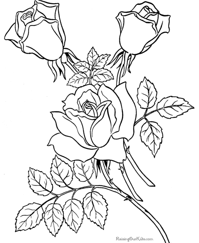 Rose coloring pages printable for free download