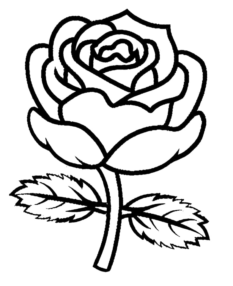 Nice rose flower coloring page