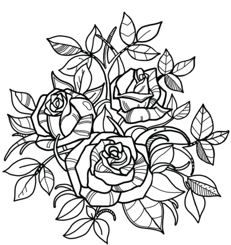 Roses coloring pages printable for free download