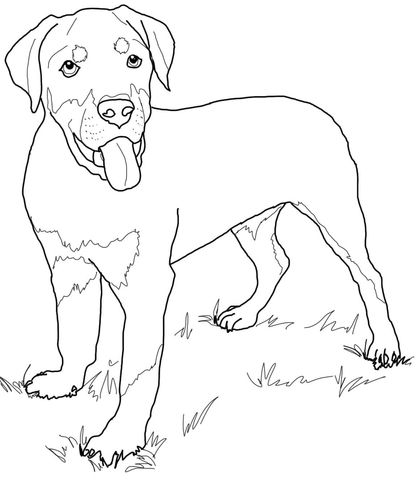 Rottweiler puppy coloring page from dogs category select from printable crafts of cartoons natâ dog coloring book dog coloring page puppy coloring pages