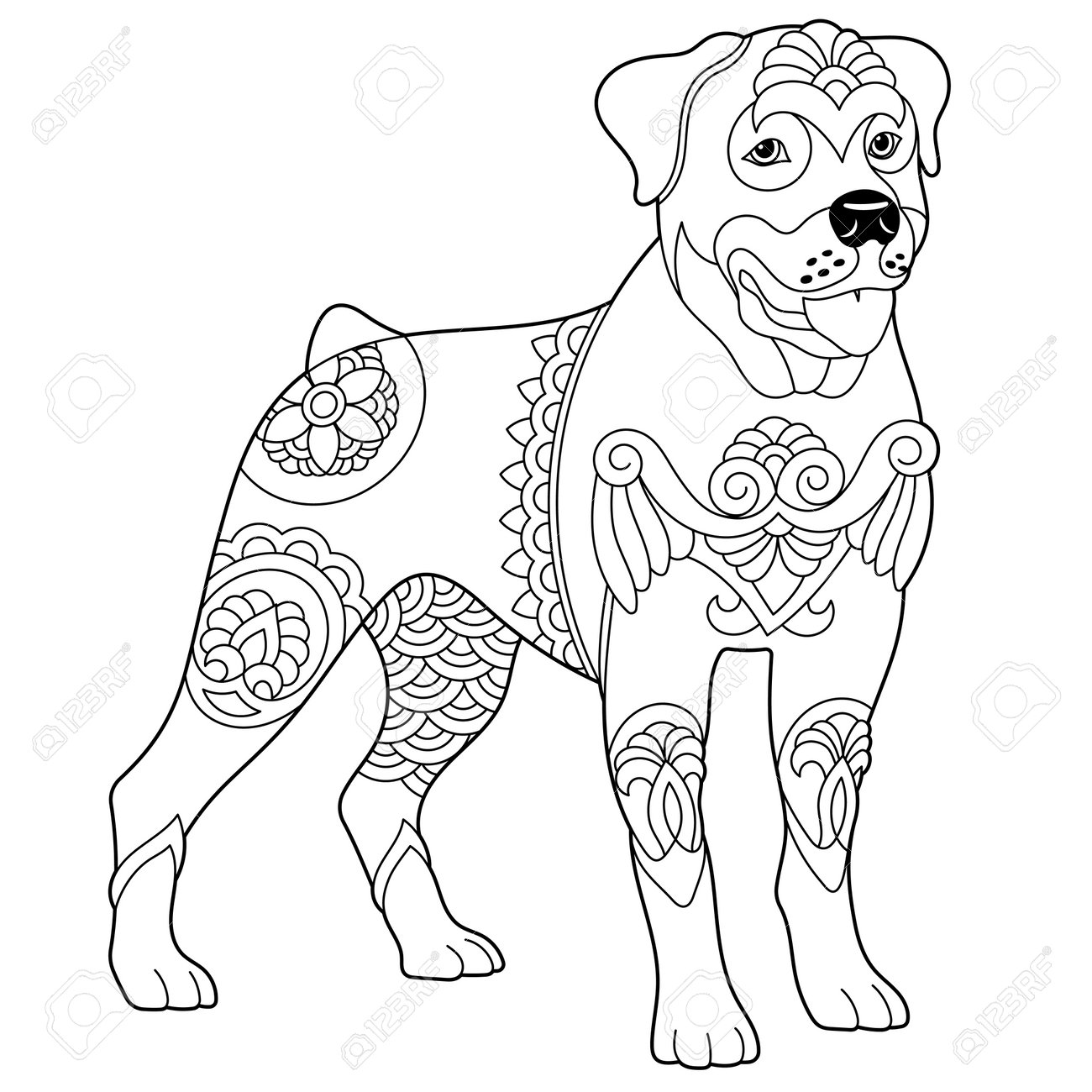 Cute rottweiler dog adult coloring book page in mandala style royalty free svg cliparts vectors and stock illustration image