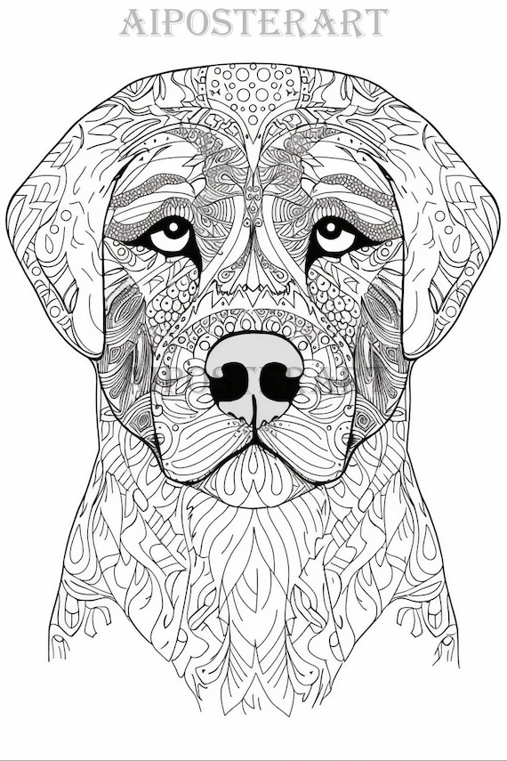 Rottweiler dog coloring page for adults printable coloring sheet of rottweiler advanced coloring high res x