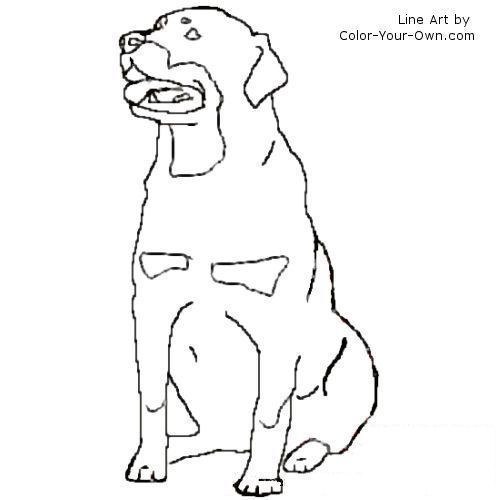 Rottweiler coloring page puppy drawing dog line art dog coloring page