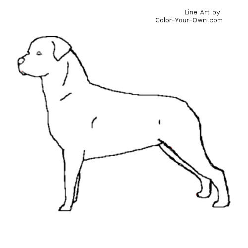 Rottweiler coloring page