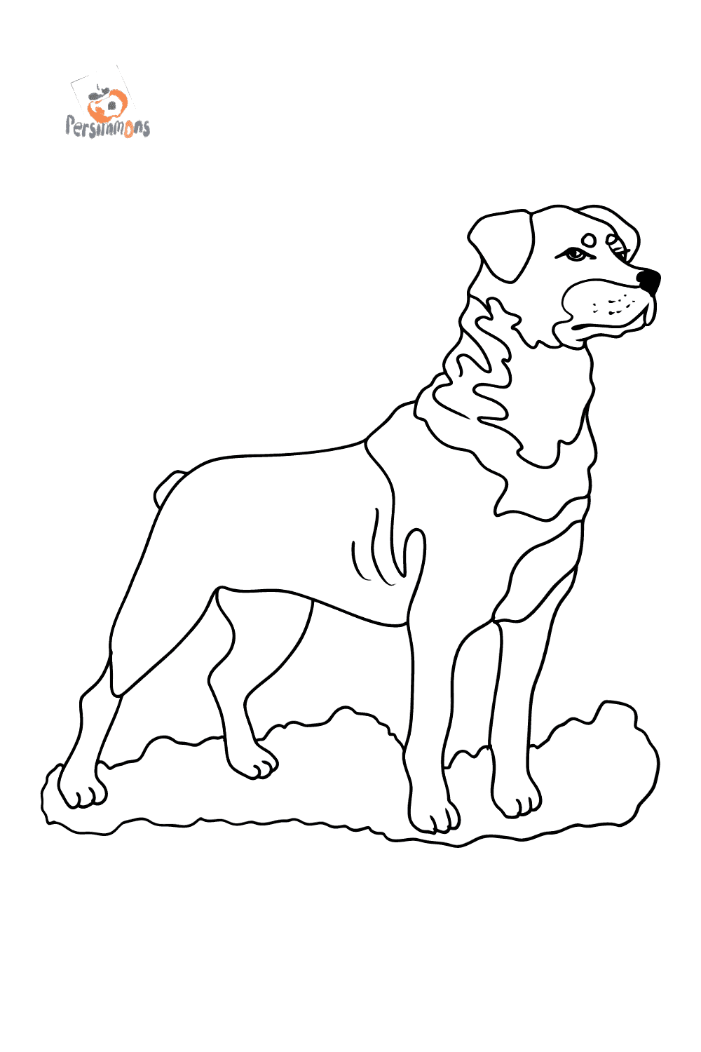 Rottweiler coloring page â free online