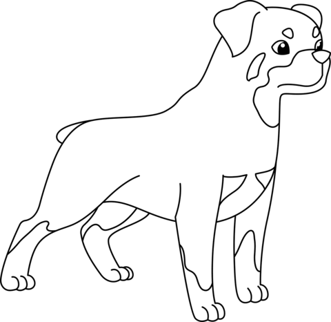 Rottweiler coloring page free printable coloring pages