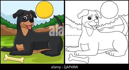 Rottweiler dog coloring page colored illustration stock vector image art