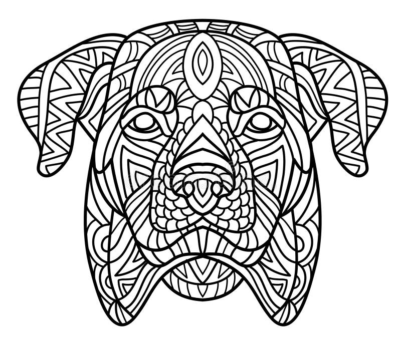 Monochrome ink drawing coloring book for adults the head of a rottweiler with tribal pattern zenart stock vector