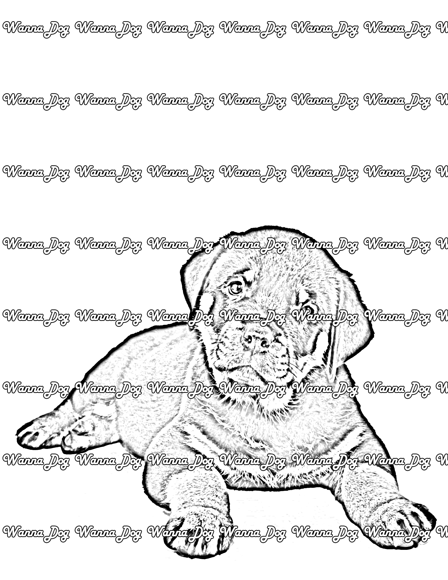 Rottweiler puppy coloring pages â wanna dog
