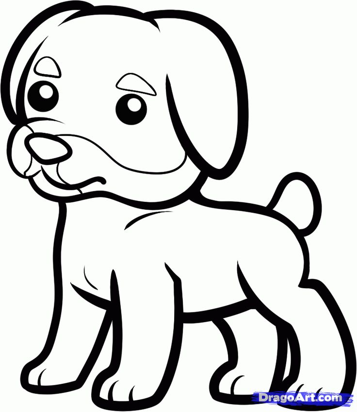 Colorful pictures of rotties how to draw a rottweiler for kids step by step animals for kids for puppy drawing puppy coloring pages puppy drawing easy