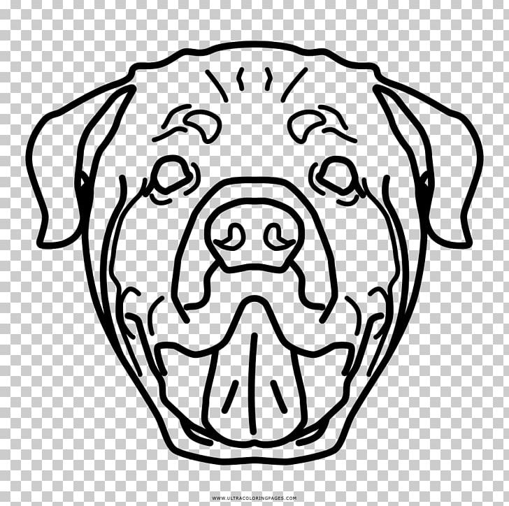 Dog breed puppy rottweiler snout drawing png clipart animals area black black and white border collie
