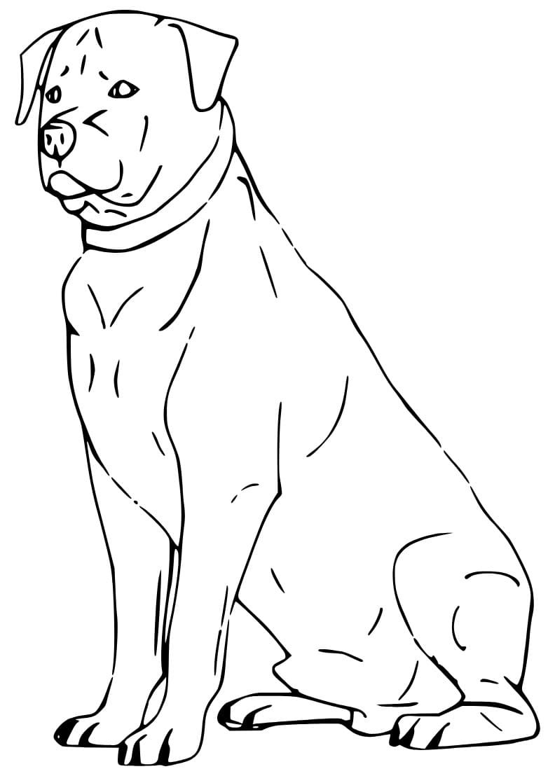 Sitting rottweiler coloring page
