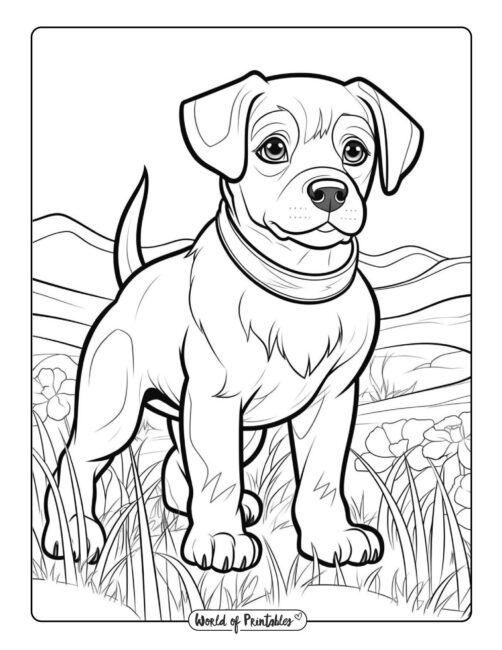 Dog coloring pages for kids adults