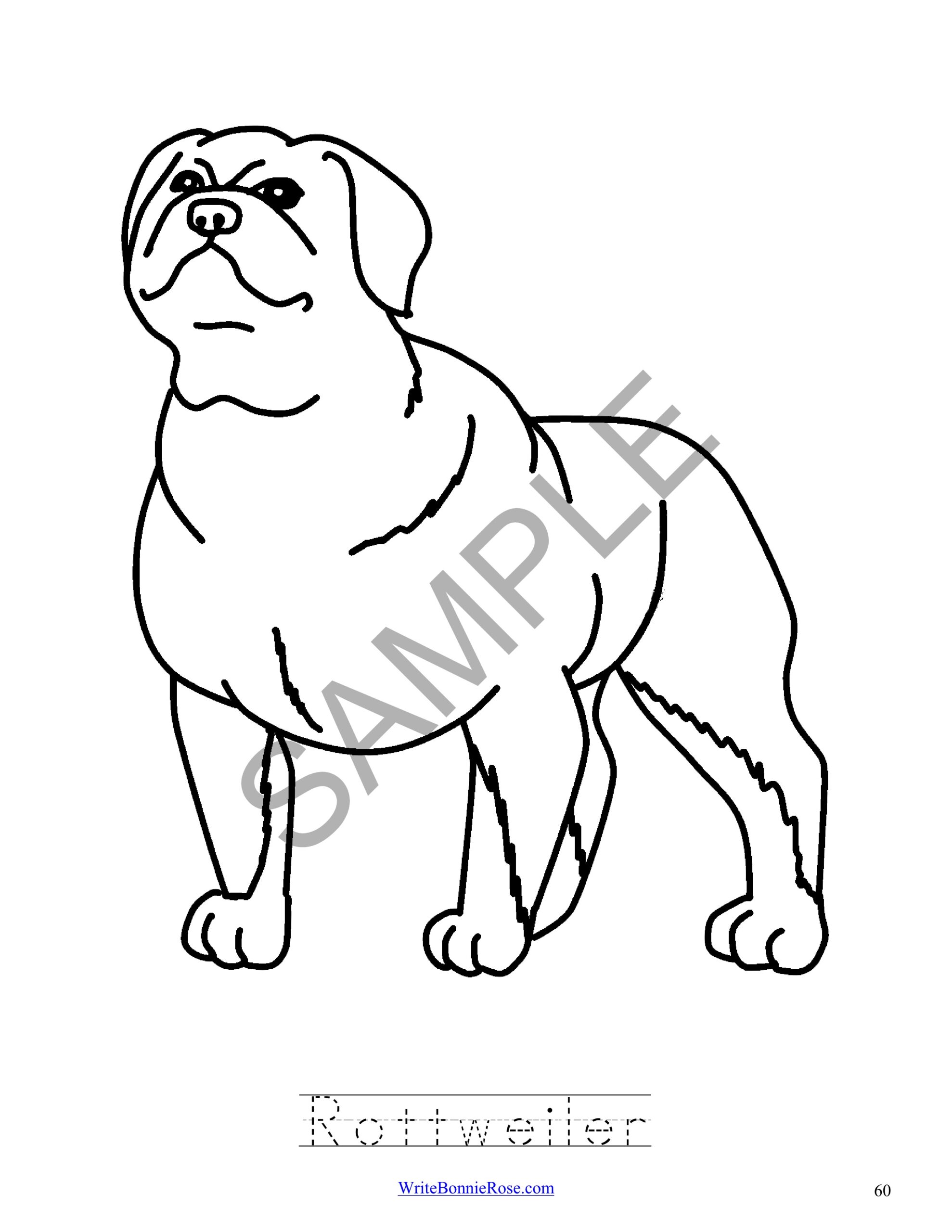 Learning about dog breeds coloring book