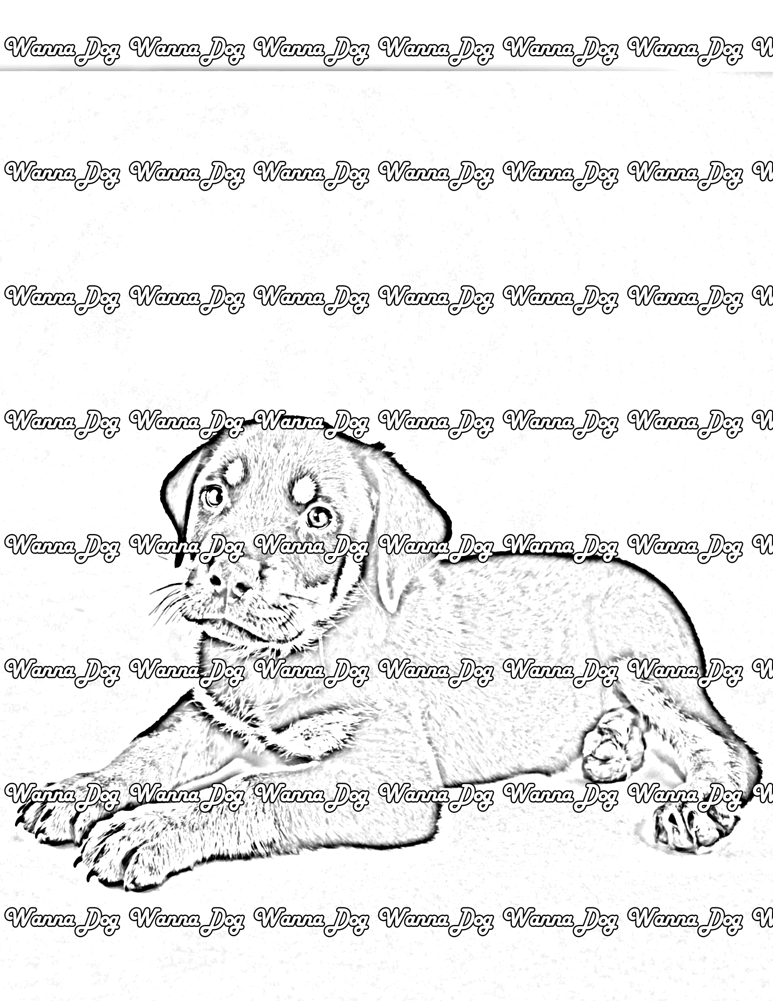 Rottweiler puppy coloring pages â wanna dog