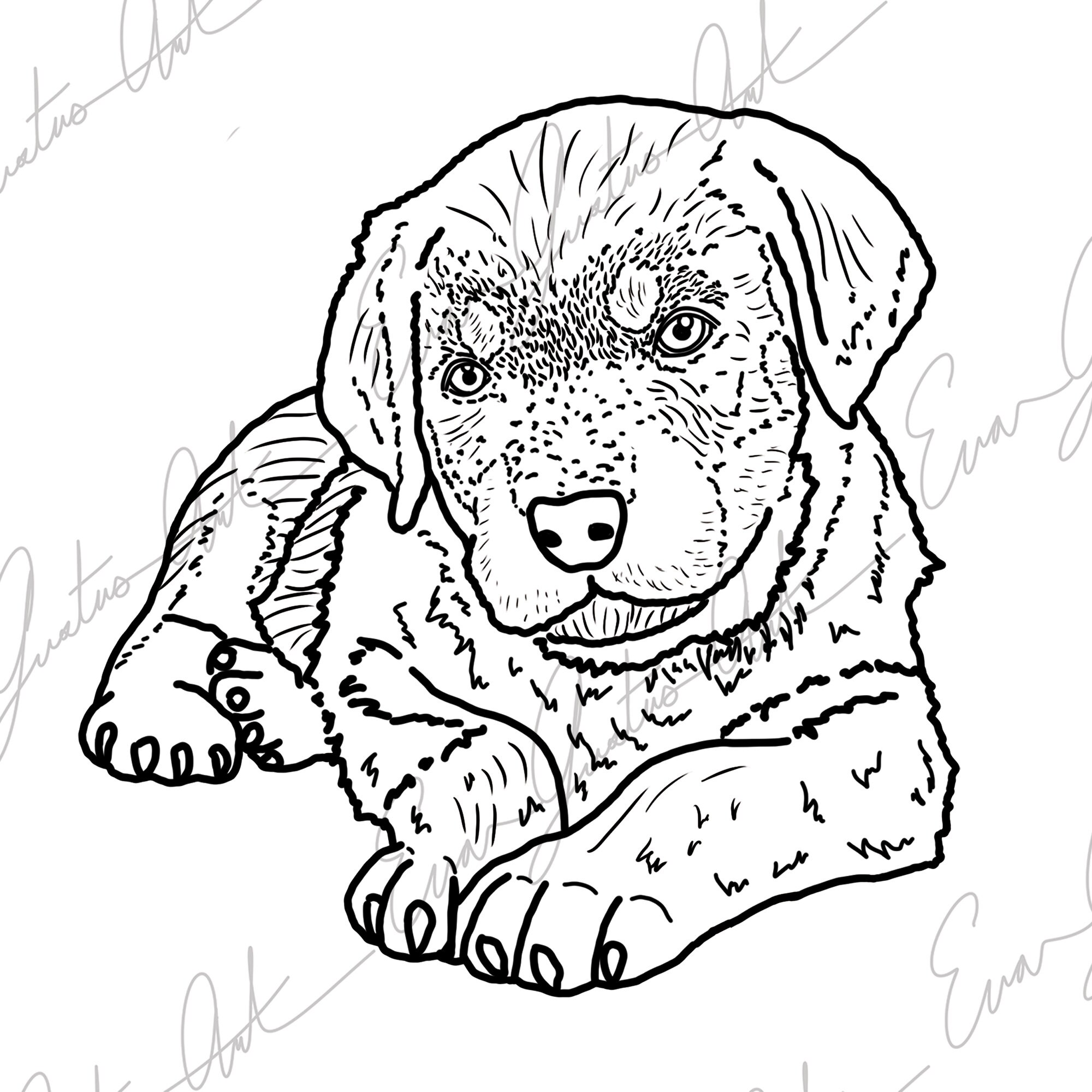 Coloring activity for kids rottweiler puppy pdf download instant download