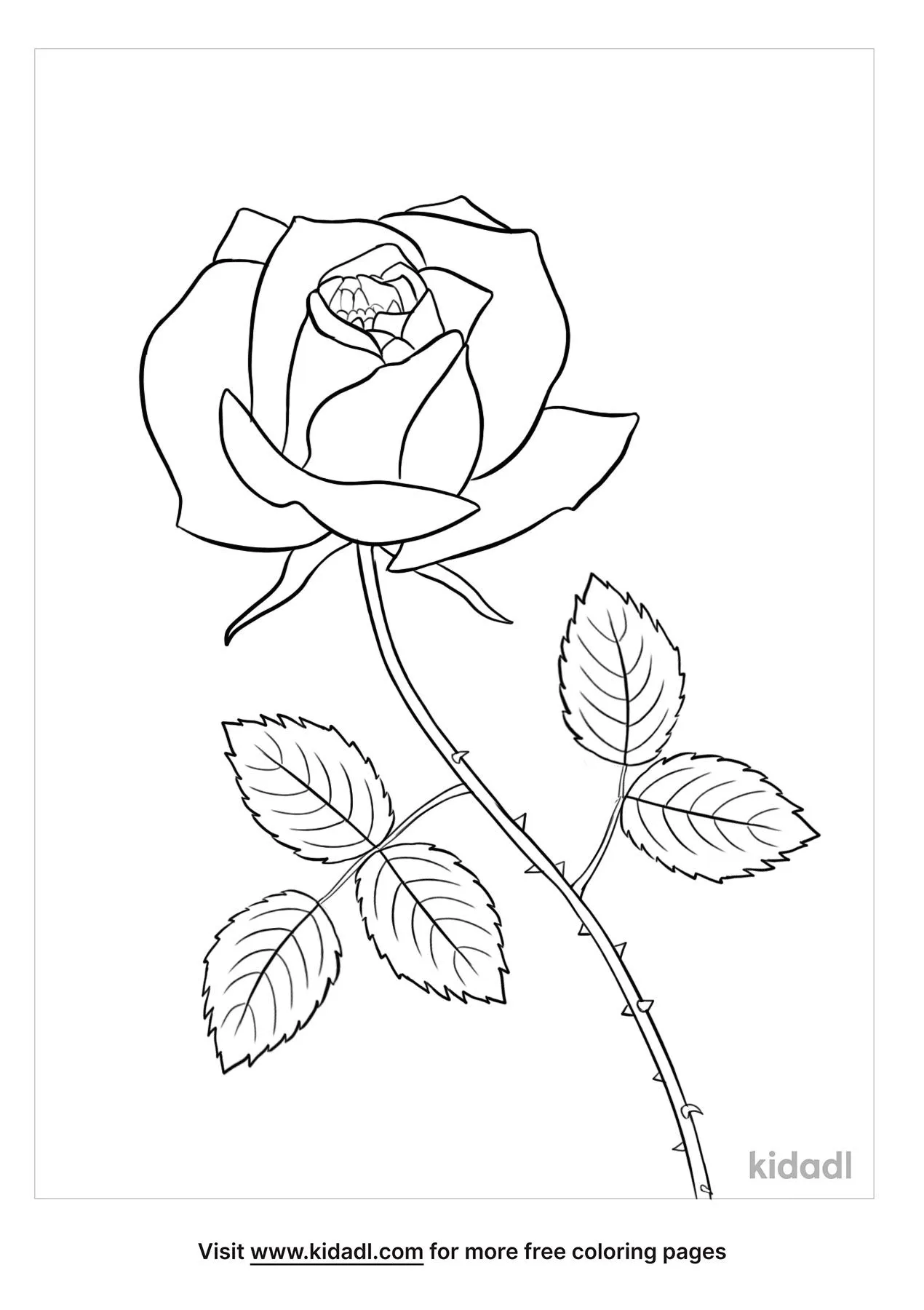 Free royal highness roses coloring page coloring page printables