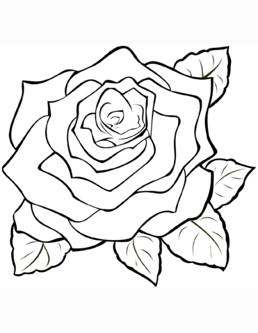 Rose coloring page hur man ritar blommor steg fãr steg ritning mandala ritning