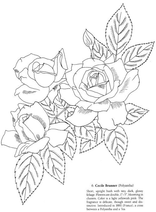 Best valentines day coloring books for adults disegno di una rosa disegni di rose disegno di fiori