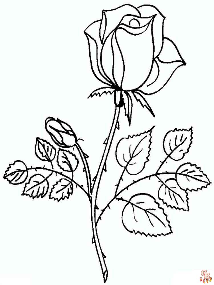 Color your world with rose coloring pages