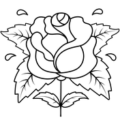 Roses coloring pages free coloring pages